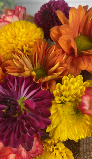 Seasonal Cupcake Bouquet (Real Flowers)